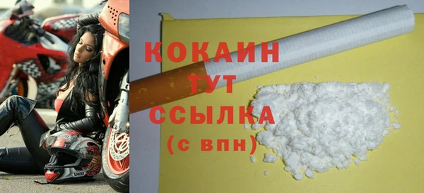 молекула духа Арсеньев