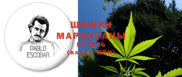 молекула духа Арсеньев
