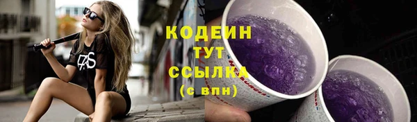 молекула духа Арсеньев