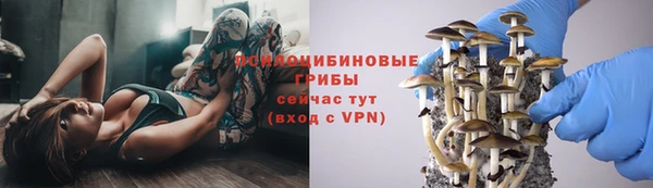 молекула духа Арсеньев