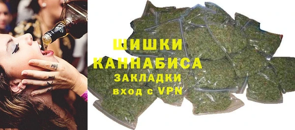 сатива Семикаракорск