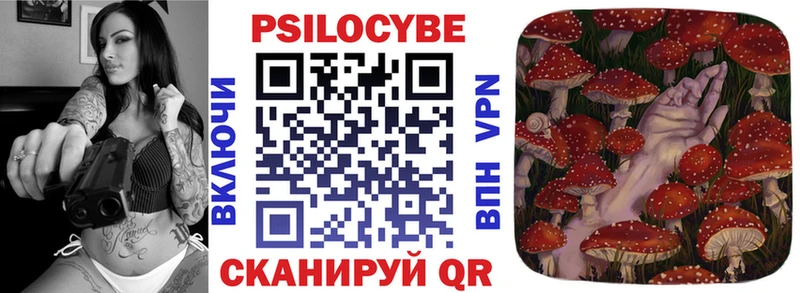 где купить наркоту Фатеж Галлюциногенные грибы Psilocybe