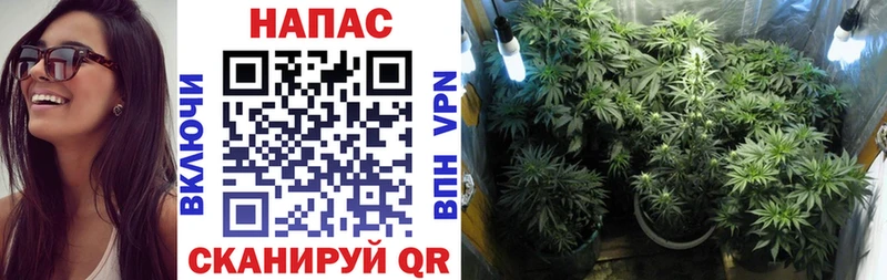 Каннабис White Widow  Фатеж 